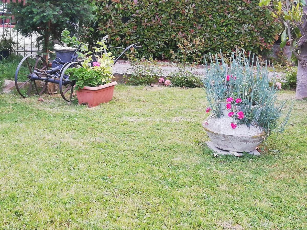 B&B Ripalta Sogliano al Rubicone Bagian luar foto