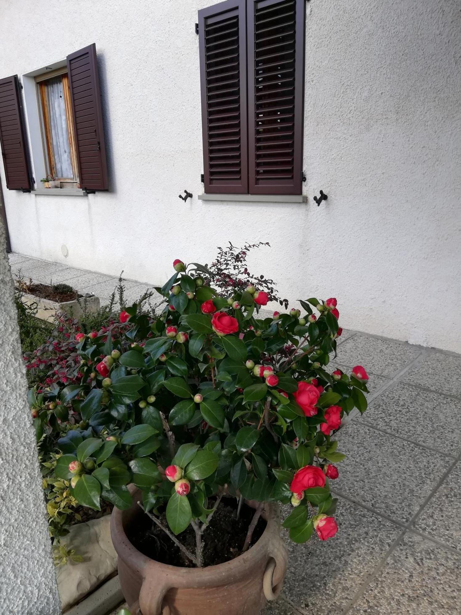 B&B Ripalta Sogliano al Rubicone Bagian luar foto
