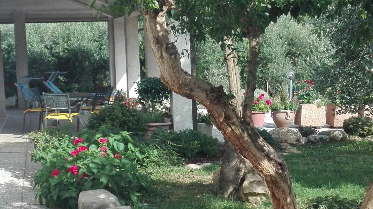 B&B Ripalta Sogliano al Rubicone Bagian luar foto