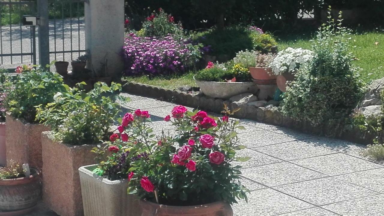 B&B Ripalta Sogliano al Rubicone Bagian luar foto