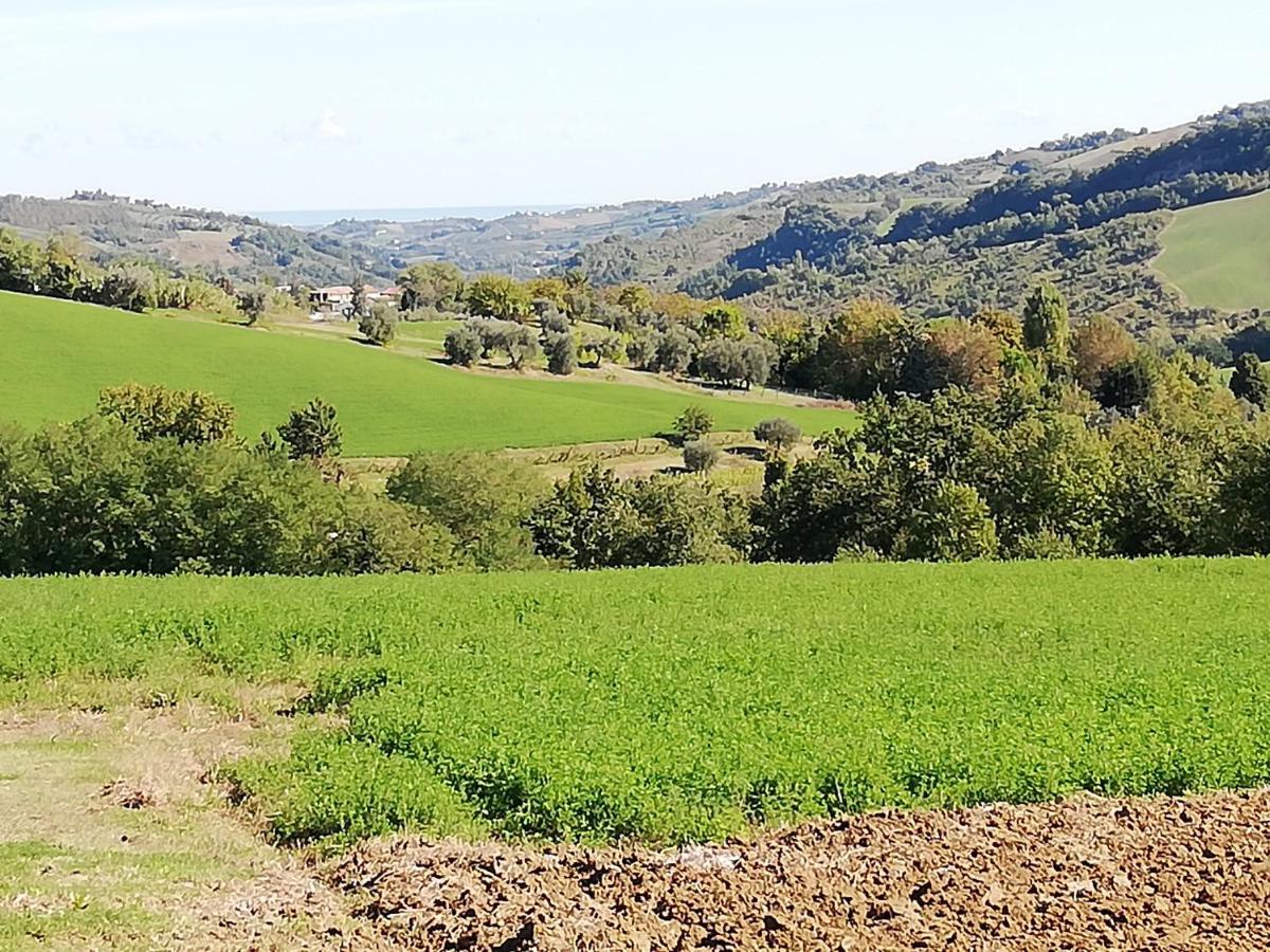 B&B Ripalta Sogliano al Rubicone Bagian luar foto